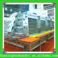 h/A- type chicken farm/chicken shed of layer battery chicken cage